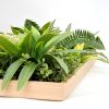 3D Green Artificial Plants Wall Panel Flower Wall With Frame Vertical Garden UV Resistant 50X50CM