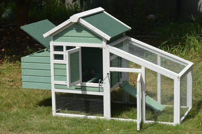 Green Small Chicken coop with nesting box for 2 Chickens / Rabbit Hutch