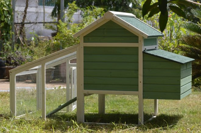 Green Small Chicken coop with nesting box for 2 Chickens / Rabbit Hutch