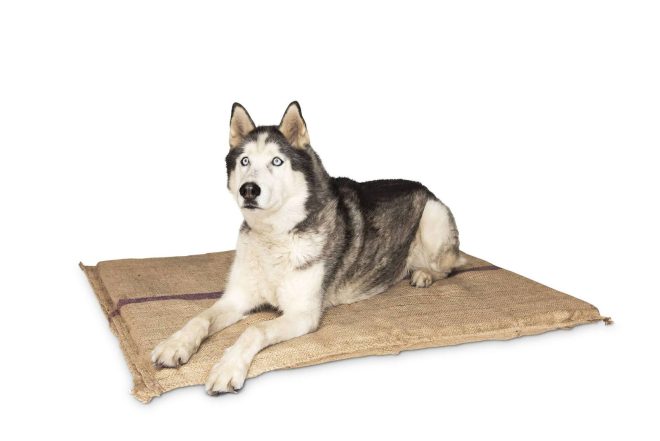 Hessian Pet Dog Puppy Bed Mat Pad House Kennel Cushion With Foam – 110x78x4 cm