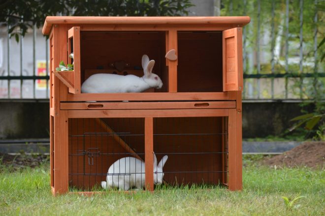 Double Storey Rabbit Hutch Guinea Pig Cage , Ferret cage W Pull Out Tray