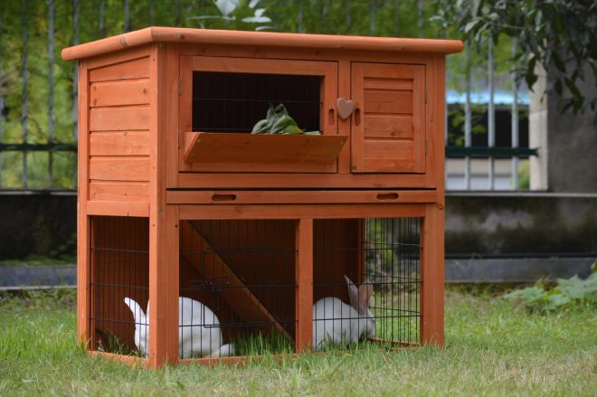 Double Storey Rabbit Hutch Guinea Pig Cage , Ferret cage W Pull Out Tray