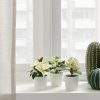 3 Pack of Artificial Potted Plants in White Plastic 6cm Pot Interior Decoration