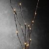 LED Light Bunch Stem – Warm White BATTERY fairy lights – 50cm high 20 bulbs/petals