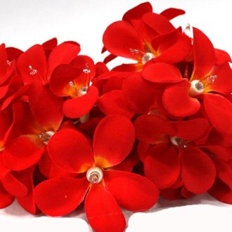 1 Set of 20 LED Deep Red Frangipani Flower Battery String Lights Christmas Gift Home Wedding Party Decoration Outdoor Table Garland Wreath