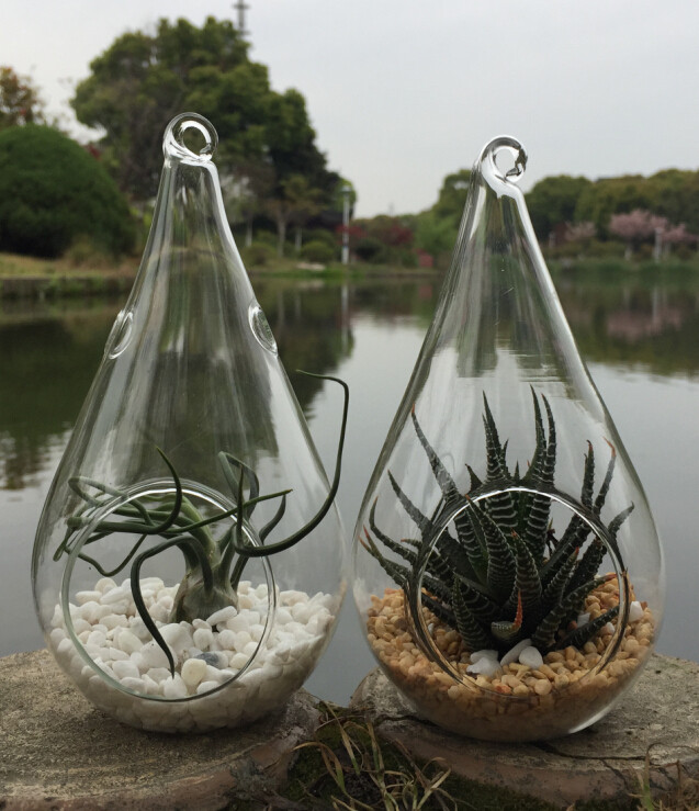 4 Pack of Hanging Clear Glass Tealight Candle Holder Tear Drop Pear Hour Glass Shape – 20cm High Terrarium Plant Mini Garden Holder Decoration Craft Gift