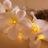 1 Set of 20 LED White Frangipani Flower Battery String Lights Christmas Gift Home Wedding Beach Party Decoration Outdoor Table Centrepiece