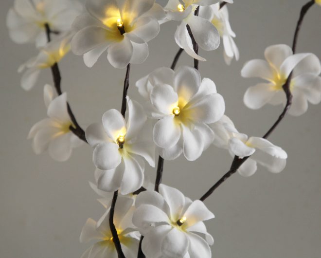 1 Set of 50cm H 20 LED White Frangipani Tree Branch Stem Fairy Light Wedding Event Party Function Table Vase Centrepiece Decoration