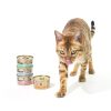 CAT FOREST Premium Tuna White Meat With Shrimp In Gravy Cat Canned Food 85G X 24