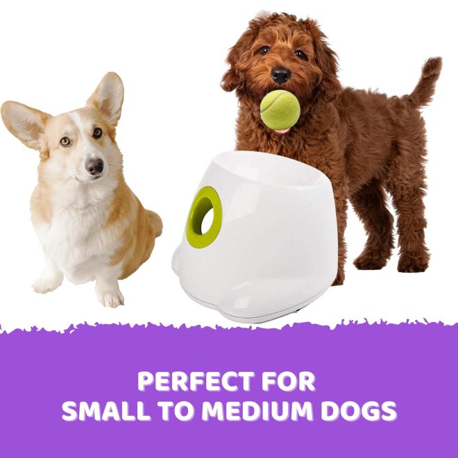 Automatic Ball Launcher Throwing Machine Dog Toys Interactive Tennis Pet 6Balls