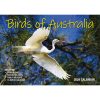 Birds Of Australia – 2024 Rectangle Wall Calendar 16 Months Birdwatching Photos