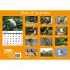 Birds Of Australia – 2024 Rectangle Wall Calendar 16 Months Birdwatching Photos