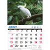 Birds Of Australia – 2024 Rectangle Wall Calendar 16 Months Birdwatching Photos