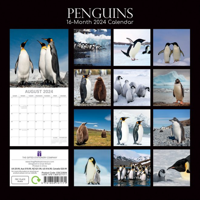 Penguins – 2024 Square Wall Calendar Pets Animals 16 Month New Year Gift Planner