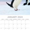 Penguins – 2024 Square Wall Calendar Pets Animals 16 Month New Year Gift Planner