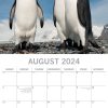 Penguins – 2024 Square Wall Calendar Pets Animals 16 Month New Year Gift Planner