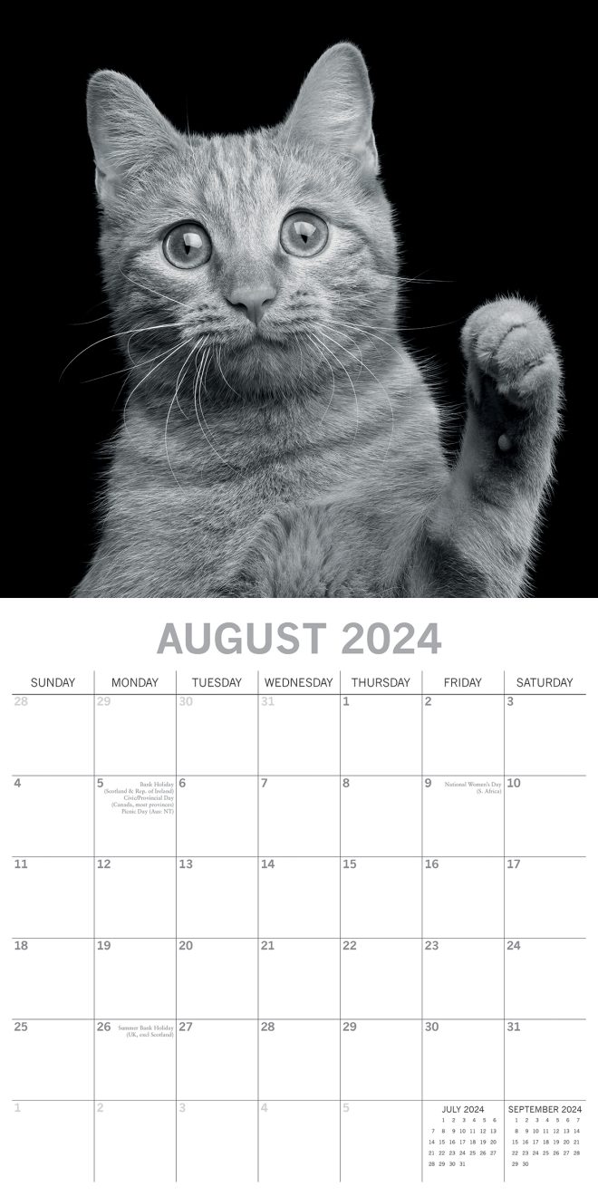 Cat Portraits – 2024 Square Wall Calendar 16 Months Black & White Planner Gift