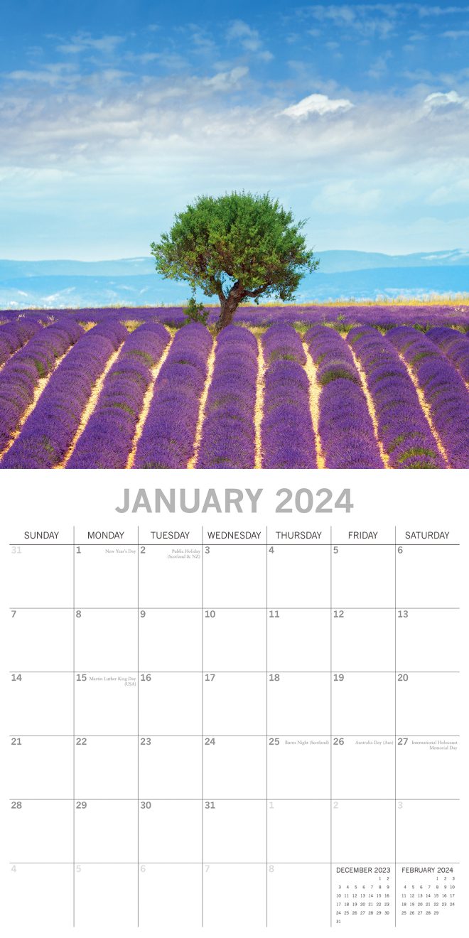 Lavender 2024 Square Wall Calendar 16 Months Floral Flower Planner New Year Gift