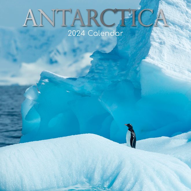 Antarctica – 2024 Square Wall Calendar 16 Months Planner Christmas New Year Gift