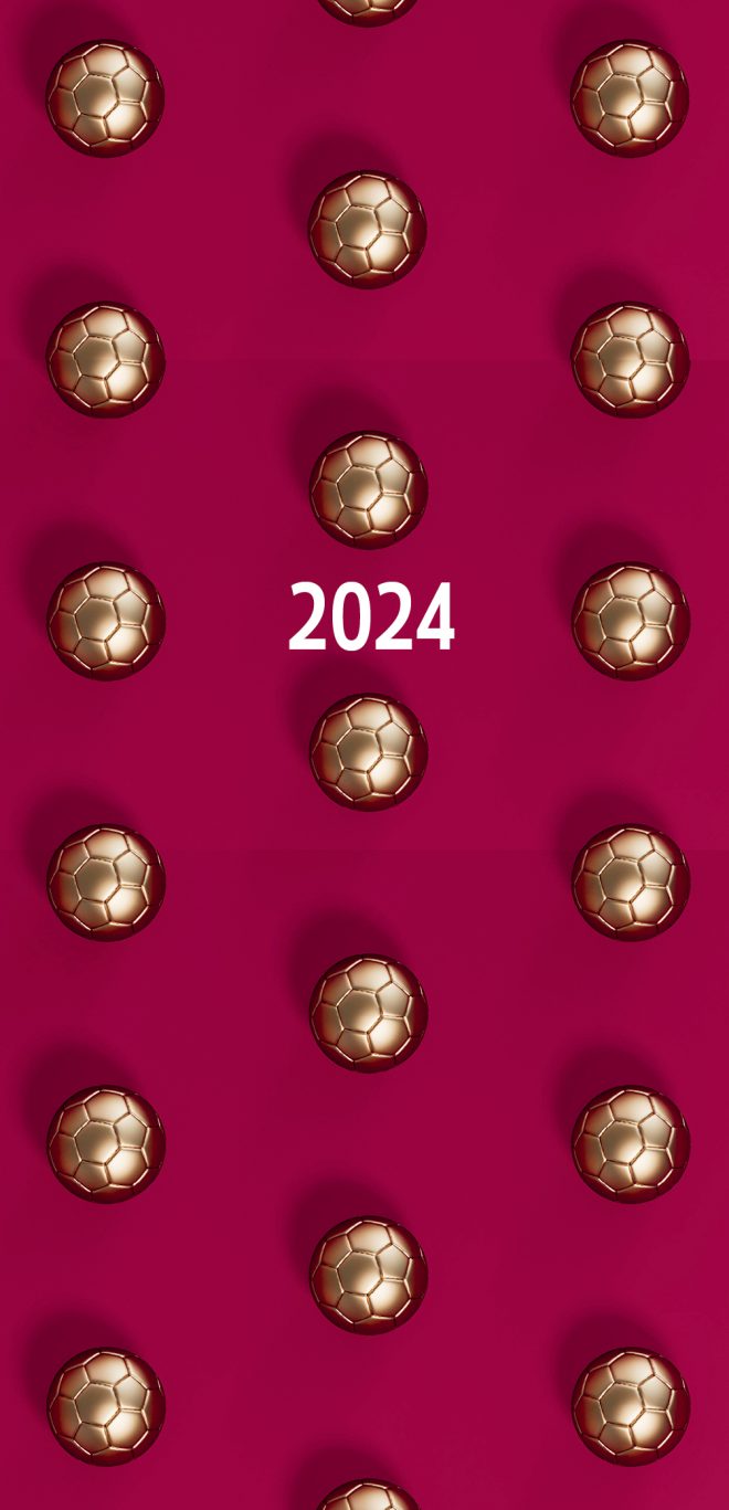 Golden Balls – 2024 Flexi Pocket Diary Premium Planner Christmas New Year Gift