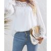 Azura Exchange Lace Patch Sheer Flounce Sleeve Blouse – L