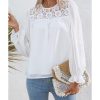 Azura Exchange Lace Patch Sheer Flounce Sleeve Blouse – L