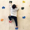 Deluxe 10 x Holds for Rock Climbing Wall Kids Outdoor Playground