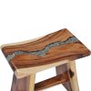 Stool Solid Suar Wood and Polyresin