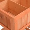 Herb Planter 80x60x80 cm Solid Firwood