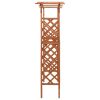 Pergola with Gate 116x40x204 cm Solid Firwood – Brown