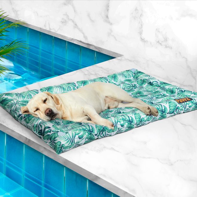 Pet Cool Gel Mat Cat Bed Dog Bolster Waterproof Self-cooling Pads Summer – L