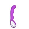 10 Speed Vibrator Bullet Vibrating USB Massager Wand Female Adult Sex Toy Purple