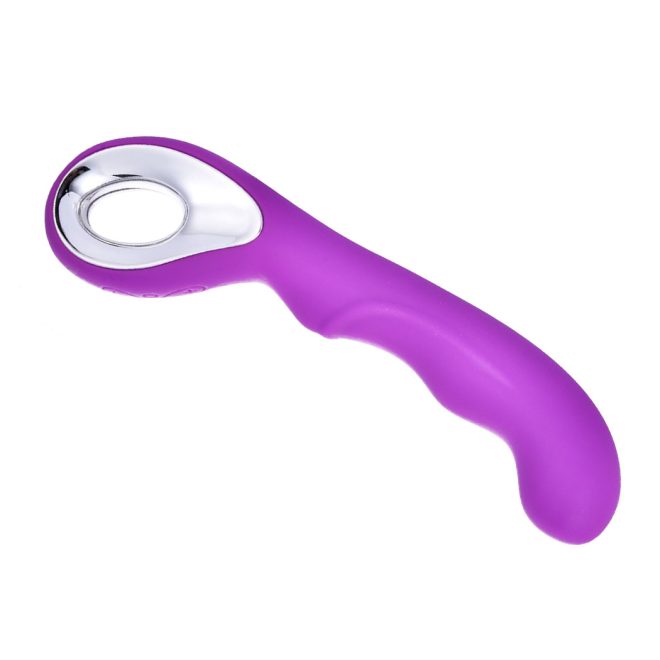 10 Speed Vibrator Bullet Vibrating USB Massager Wand Female Adult Sex Toy Purple