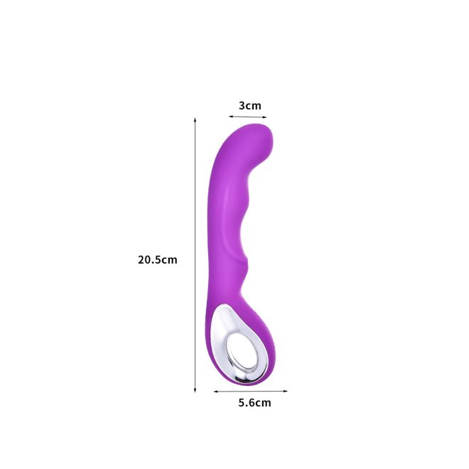 10 Speed Vibrator Bullet Vibrating USB Massager Wand Female Adult Sex Toy Purple